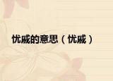 忧戚的意思（忧戚）