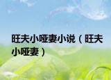 旺夫小哑妻小说（旺夫小哑妻）