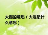 大湿的意思（大湿是什么意思）