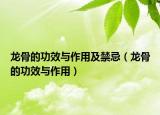 龙骨的功效与作用及禁忌（龙骨的功效与作用）
