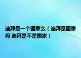 迪拜是一个国家么（迪拜是国家吗 迪拜是不是国家）