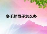 多毛的虱子怎么办