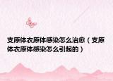 支原体衣原体感染怎么治愈（支原体衣原体感染怎么引起的）