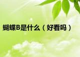 蝴蝶B是什么（好看吗）