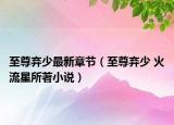 至尊弃少最新章节（至尊弃少 火流星所著小说）