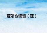 荙怎么读音（荙）