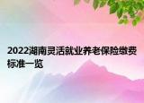 2022湖南灵活就业养老保险缴费标准一览