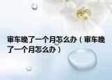 审车晚了一个月怎么办（审车晚了一个月怎么办）