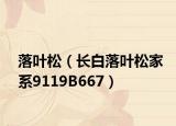 落叶松（长白落叶松家系9119B667）