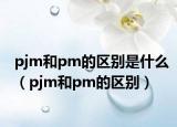 pjm和pm的区别是什么（pjm和pm的区别）