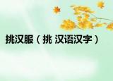挑汉服（挑 汉语汉字）