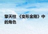 擎天柱 《变形金刚》中的角色