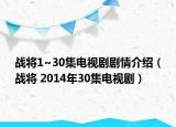 战将1~30集电视剧剧情介绍（战将 2014年30集电视剧）