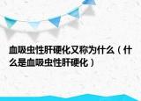 血吸虫性肝硬化又称为什么（什么是血吸虫性肝硬化）