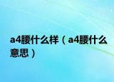 a4腰什么样（a4腰什么意思）