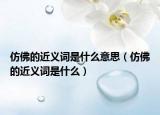 仿佛的近义词是什么意思（仿佛的近义词是什么）