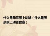 什么是肠系膜上动脉（什么是肠系膜上动脉栓塞）
