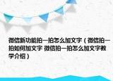微信新功能拍一拍怎么加文字（微信拍一拍如何加文字 微信拍一拍怎么加文字教学介绍）