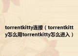 torrentkitty连接（torrentkitty怎么用torrentkitty怎么进入）
