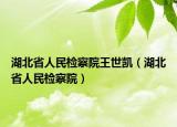 湖北省人民检察院王世凯（湖北省人民检察院）