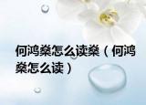 何鸿燊怎么读燊（何鸿燊怎么读）