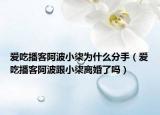 爱吃播客阿波小柒为什么分手（爱吃播客阿波跟小柒离婚了吗）