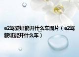 a2驾驶证能开什么车图片（a2驾驶证能开什么车）