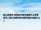 我心向明月,奈何明月照沟渠是什么意思全诗（我心向明月明月照沟渠全诗是什么）