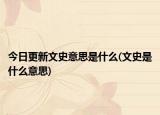 今日更新文史意思是什么(文史是什么意思)