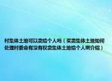 村集体土地可以卖给个人吗（买卖集体土地如何处理村委会有没有权卖集体土地给个人啊介绍）