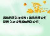 微信标签怎样设置（微信标签如何设置 怎么设置微信标签介绍）