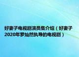 好妻子电视剧演员集介绍（好妻子 2020年罗灿然执导的电视剧）