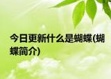 今日更新什么是蝴蝶(蝴蝶简介)