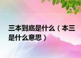 三本到底是什么（本三是什么意思）