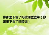 你那里下雪了吗歌词孟庭苇（你那里下雪了吗歌词）