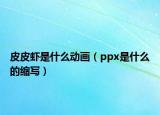 皮皮虾是什么动画（ppx是什么的缩写）