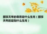 颐享天年的意思是什么生肖（颐享天年的是指什么生肖）