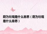 蔚为壮观是什么意思（蔚为壮观是什么意思）