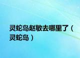 灵蛇岛赵敏去哪里了（灵蛇岛）