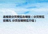表格里分页预览在哪里（分页预览在哪儿 分页在哪预览介绍）