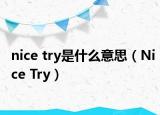nice try是什么意思（Nice Try）