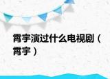霄宇演过什么电视剧（霄宇）