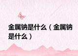 金属钠是什么（金属钠是什么）