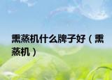 熏蒸机什么牌子好（熏蒸机）
