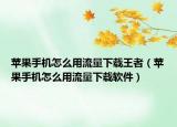 苹果手机怎么用流量下载王者（苹果手机怎么用流量下载软件）