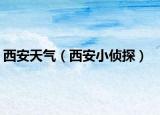 西安天气（西安小侦探）