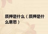 质押是什么（质押是什么意思）