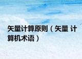 矢量计算原则（矢量 计算机术语）