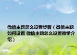 微信主题怎么设置步骤（微信主题如何设置 微信主题怎么设置教学介绍）