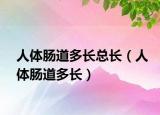 人体肠道多长总长（人体肠道多长）